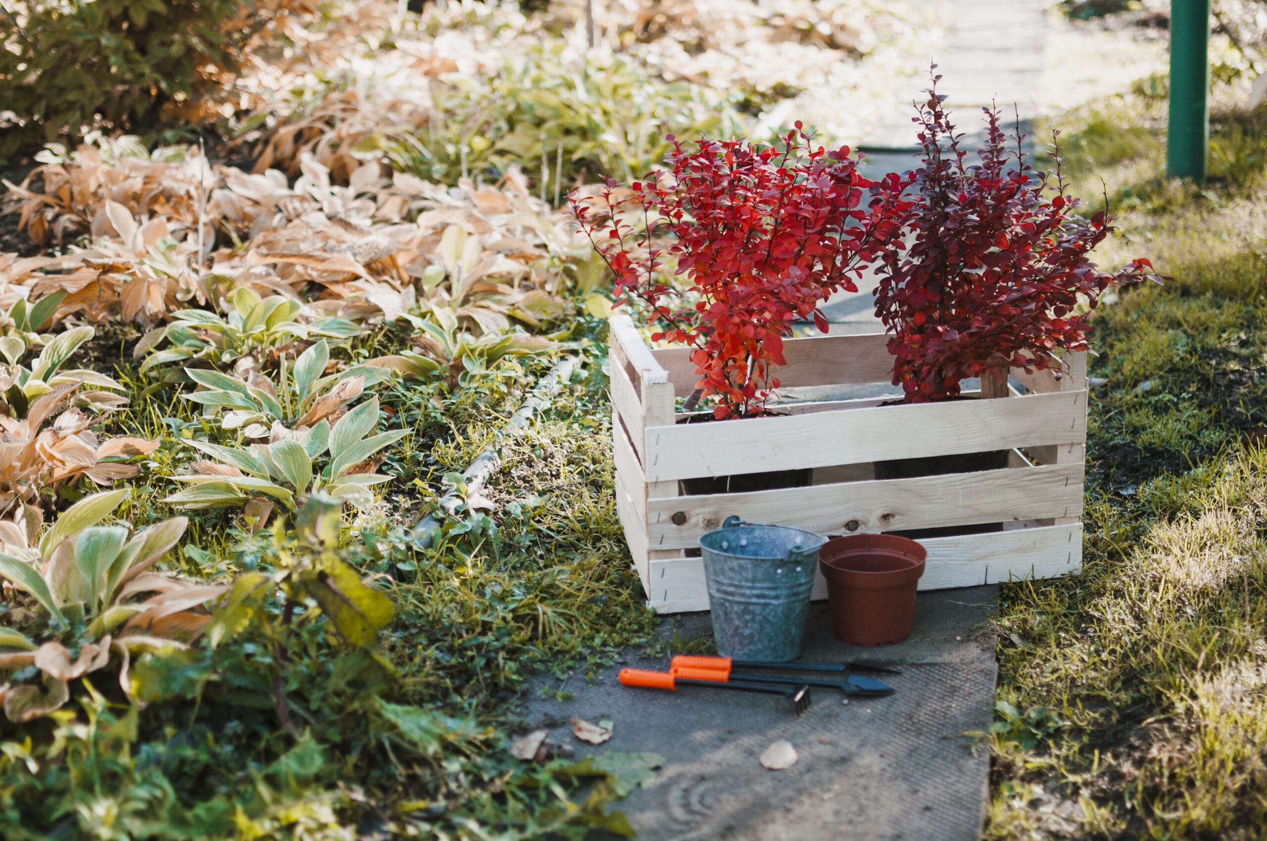 50 pomysłów na DIY do ogrodu – inspiracje dla każdego
