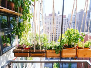 An innovative industrial fire escape turned into a vibrant vertical garden retreat showcasing diverse plants. This scene highlights the resourcefulness of urban gardening in densely populated areas.