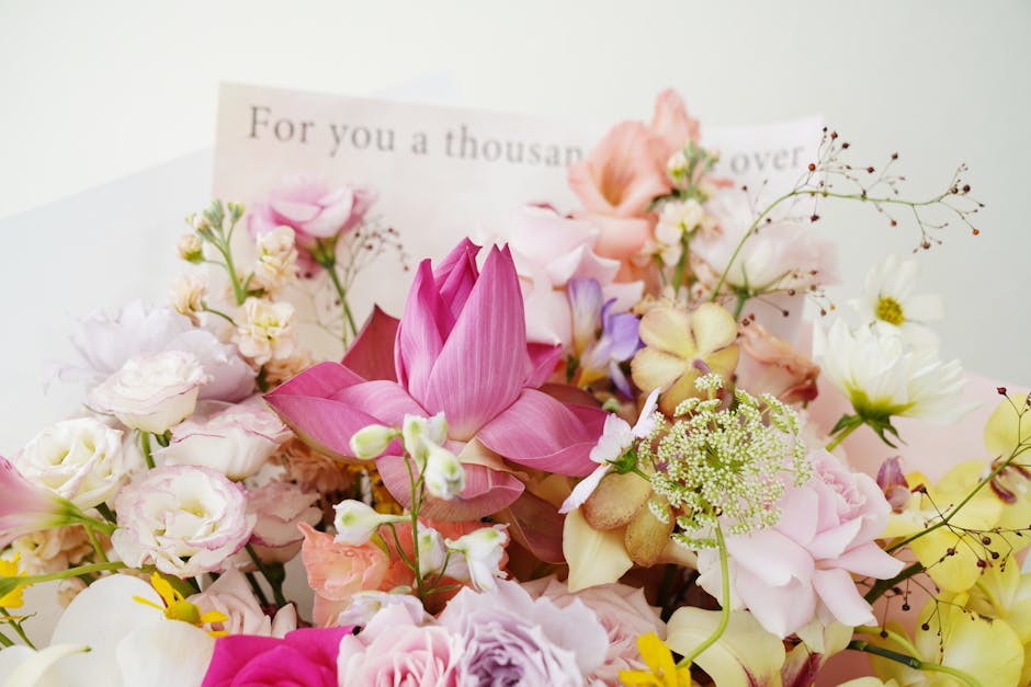 Darmowe zdjęcie z galerii z białe tło, botaniczny, bukiet